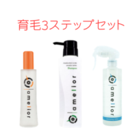 【全ステップ】アメリオール 育毛 ・コンプリートセット（クレンジング300ml・シャンプー300ml・育毛剤120ml）